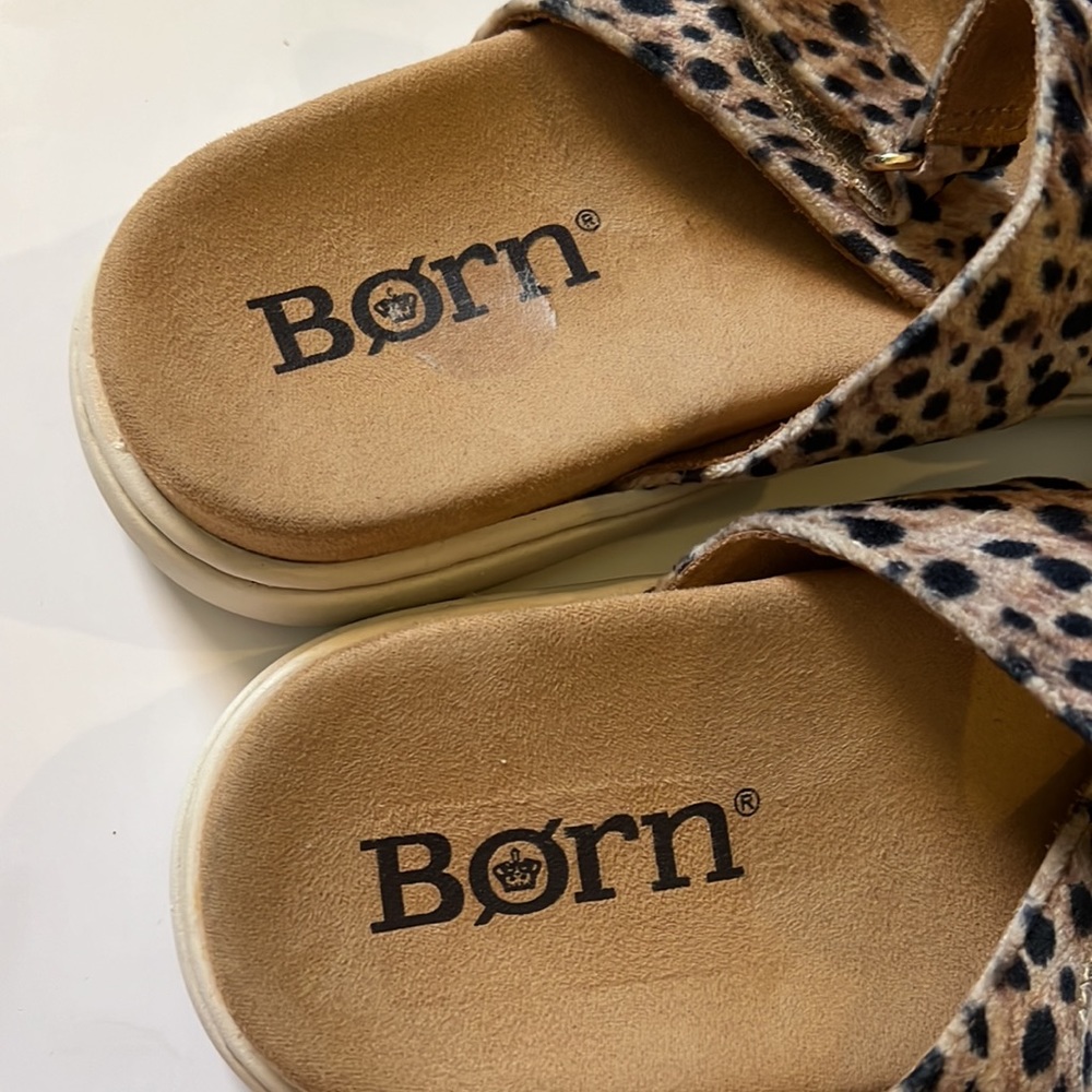 Børn Daintree Sandal Animal Printed Fabric Triple Buckle 10M - Picture 7 of 7